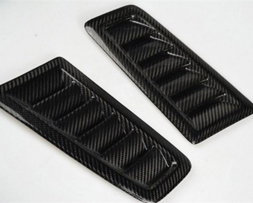 Carbon fiber molding